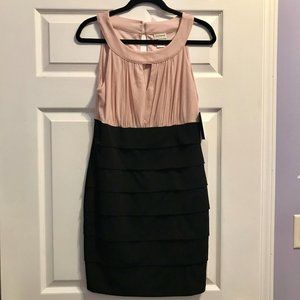 Enfocus Women's Petite Black and Blush Dress